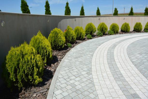 Professional Driveway Pavers in Cameron Park, TX